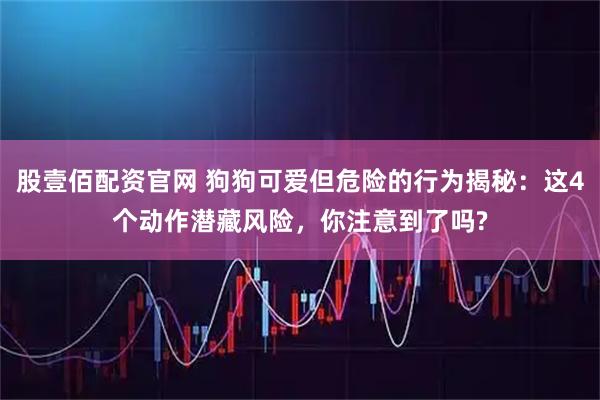 股壹佰配资官网 狗狗可爱但危险的行为揭秘：这4个动作潜藏风险，你注意到了吗?