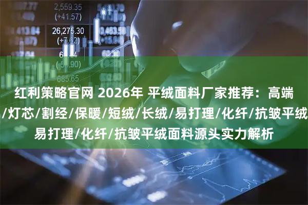 红利策略官网 2026年 平绒面料厂家推荐：高端家纺服装专用，棉/灯芯/割经/保暖/短绒/长绒/易打理/化纤/抗皱平绒面料源头实力解析